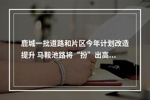 鹿城一批道路和片区今年计划改造提升 马鞍池路将“扮”出高颜值