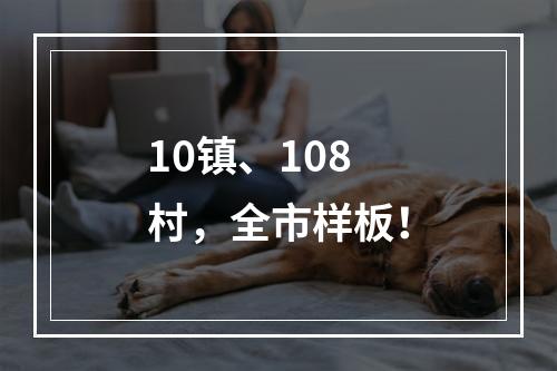 10镇、108村，全市样板！