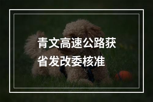 青文高速公路获省发改委核准