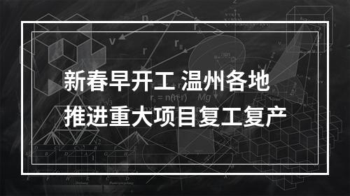 新春早开工 温州各地推进重大项目复工复产