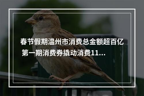 春节假期温州市消费总金额超百亿 第一期消费券撬动消费11830万元