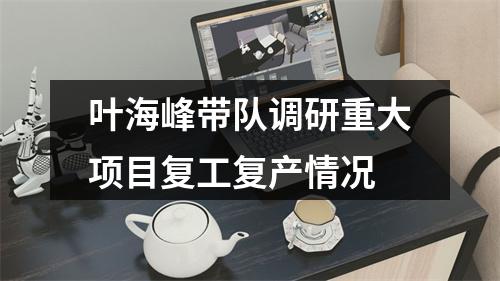 叶海峰带队调研重大项目复工复产情况