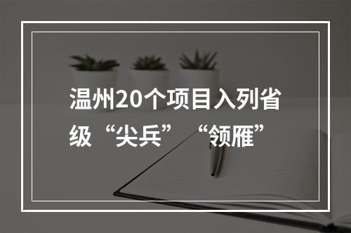 温州20个项目入列省级“尖兵”“领雁”