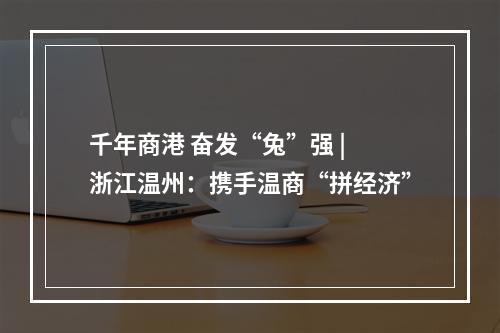 千年商港 奋发“兔”强 | 浙江温州：携手温商“拼经济”