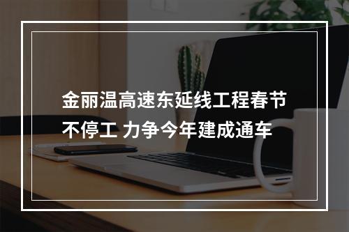 金丽温高速东延线工程春节不停工 力争今年建成通车