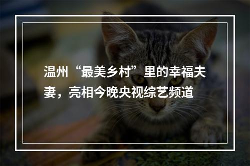 温州“最美乡村”里的幸福夫妻，亮相今晚央视综艺频道