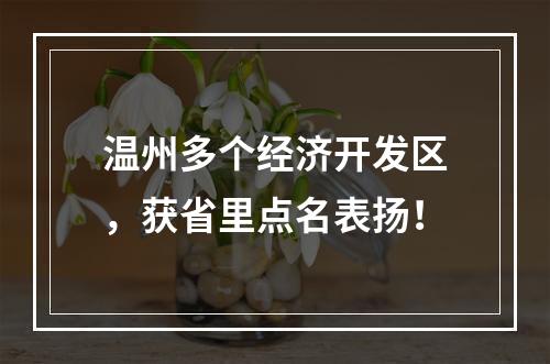 温州多个经济开发区，获省里点名表扬！