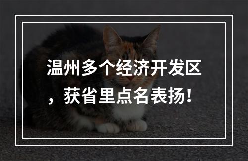 温州多个经济开发区，获省里点名表扬！