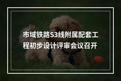 市域铁路S3线附属配套工程初步设计评审会议召开