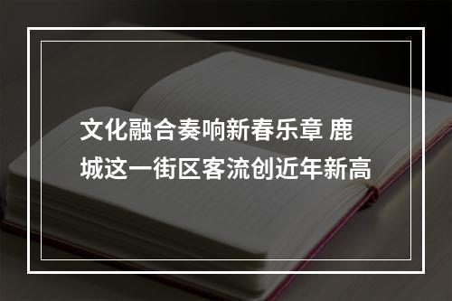 文化融合奏响新春乐章 鹿城这一街区客流创近年新高