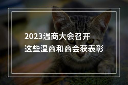 2023温商大会召开 这些温商和商会获表彰