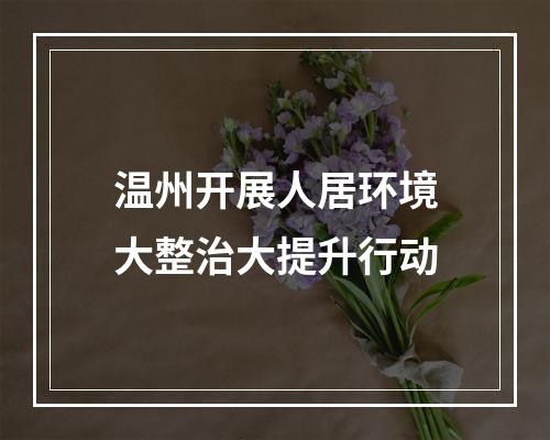 温州开展人居环境大整治大提升行动