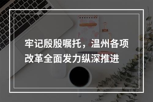 牢记殷殷嘱托，温州各项改革全面发力纵深推进