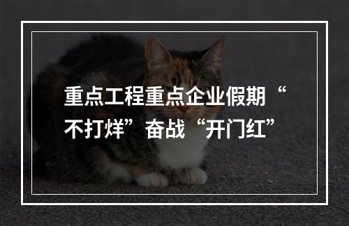重点工程重点企业假期“不打烊”奋战“开门红”