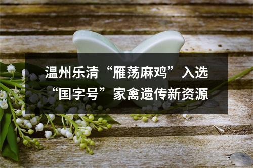 温州乐清“雁荡麻鸡”入选“国字号”家禽遗传新资源