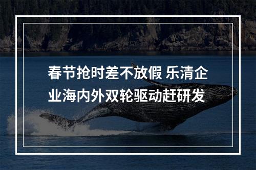 春节抢时差不放假 乐清企业海内外双轮驱动赶研发