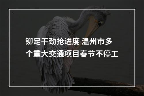 铆足干劲抢进度 温州市多个重大交通项目春节不停工