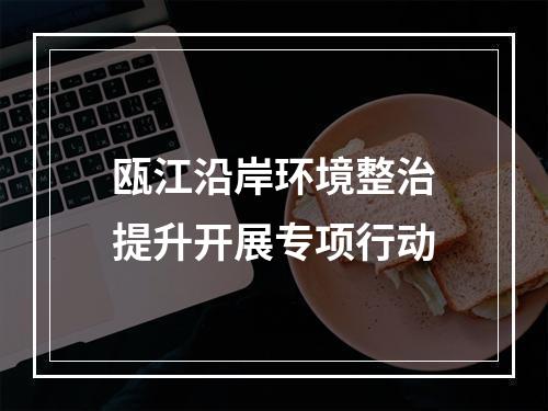 瓯江沿岸环境整治提升开展专项行动