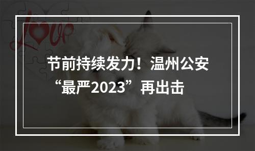 节前持续发力！温州公安“最严2023”再出击