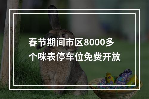 春节期间市区8000多个咪表停车位免费开放