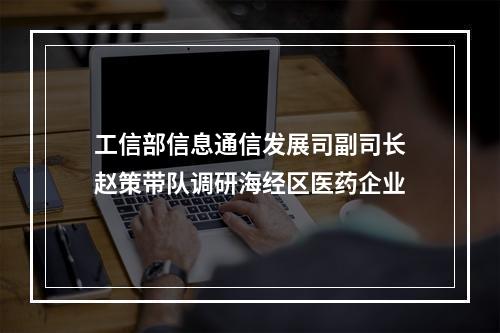 工信部信息通信发展司副司长赵策带队调研海经区医药企业