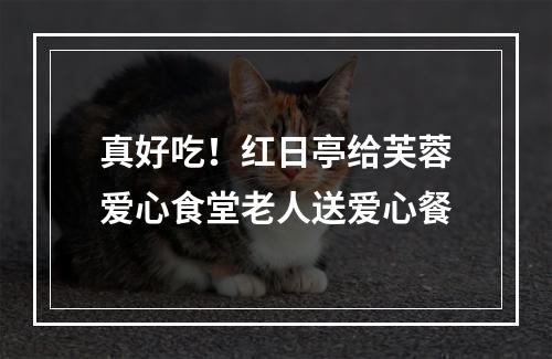 真好吃！红日亭给芙蓉爱心食堂老人送爱心餐