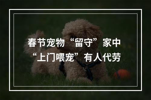 春节宠物“留守”家中 “上门喂宠”有人代劳