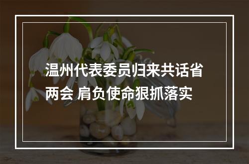 温州代表委员归来共话省两会 肩负使命狠抓落实