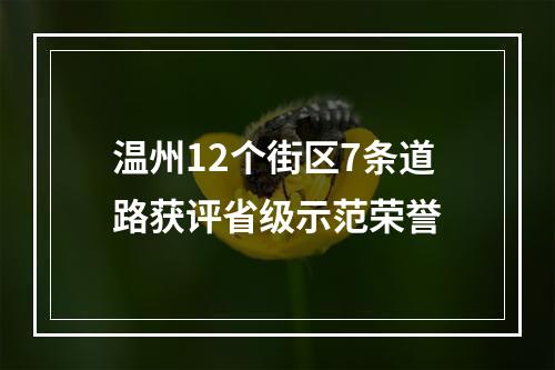 温州12个街区7条道路获评省级示范荣誉