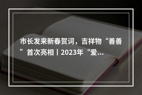 市长发来新春贺词，吉祥物“善善”首次亮相丨2023年“爱心温州·情暖万家”迎春“云”慈善大宴举行