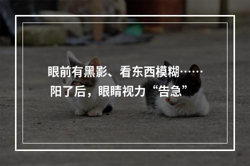 眼前有黑影、看东西模糊…… 阳了后，眼睛视力“告急”