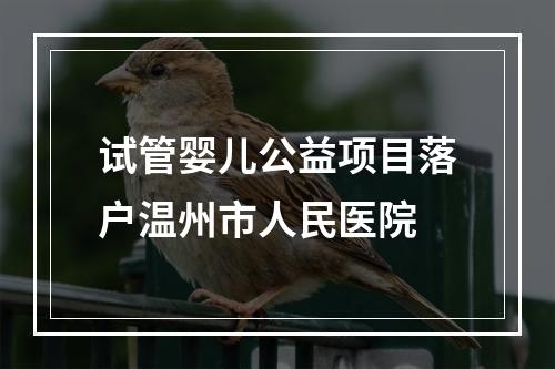 试管婴儿公益项目落户温州市人民医院