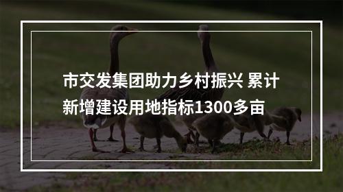 市交发集团助力乡村振兴 累计新增建设用地指标1300多亩
