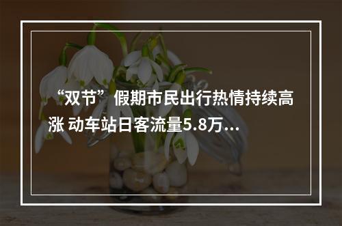 “双节”假期市民出行热情持续高涨 动车站日客流量5.8万人