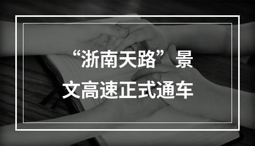 “浙南天路”景文高速正式通车