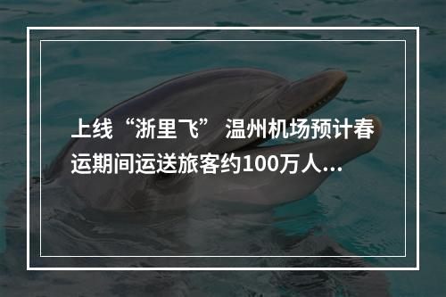 上线“浙里飞” 温州机场预计春运期间运送旅客约100万人次
