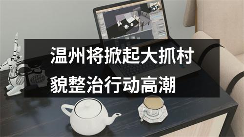 温州将掀起大抓村貌整治行动高潮