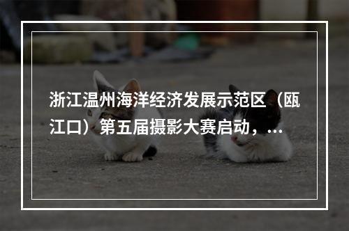 浙江温州海洋经济发展示范区（瓯江口）第五届摄影大赛启动，邀您一同用镜头捕捉海经之美