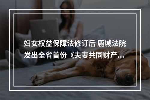妇女权益保障法修订后 鹿城法院发出全省首份《夫妻共同财产申报令》