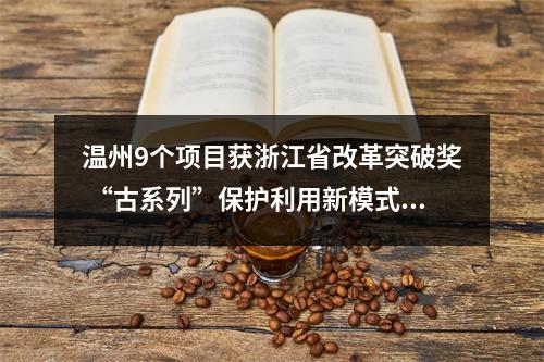 温州9个项目获浙江省改革突破奖 “古系列”保护利用新模式摘金