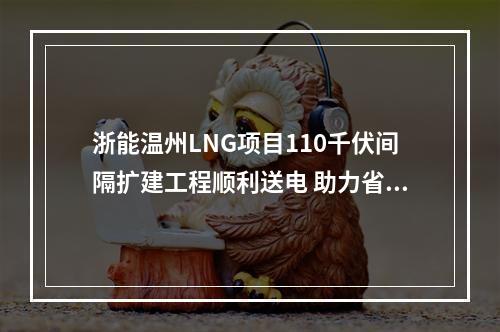 浙能温州LNG项目110千伏间隔扩建工程顺利送电 助力省重点战略项目发展