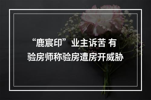 “鹿宸印”业主诉苦 有验房师称验房遭房开威胁