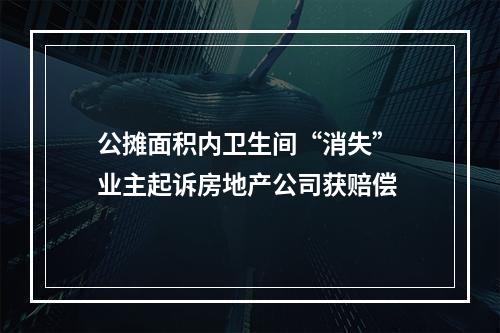 公摊面积内卫生间“消失” 业主起诉房地产公司获赔偿