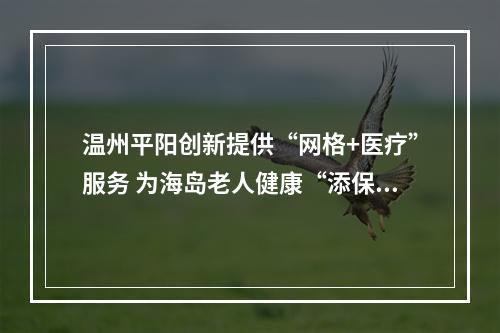 温州平阳创新提供“网格+医疗”服务 为海岛老人健康“添保障”