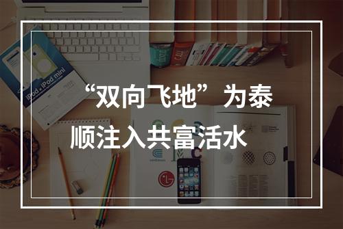 “双向飞地”为泰顺注入共富活水