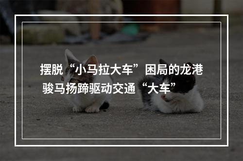 摆脱“小马拉大车”困局的龙港 骏马扬蹄驱动交通“大车”