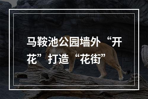 马鞍池公园墙外“开花”打造“花街”