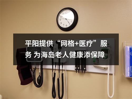 平阳提供“网格+医疗”服务 为海岛老人健康添保障