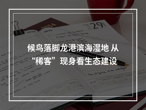 候鸟落脚龙港滨海湿地 从“稀客”现身看生态建设