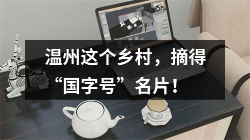 温州这个乡村，摘得“国字号”名片！